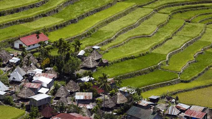 Nahrung für die Menschheit - Reis Luftaufnahme Reisterrassen mit Häusern