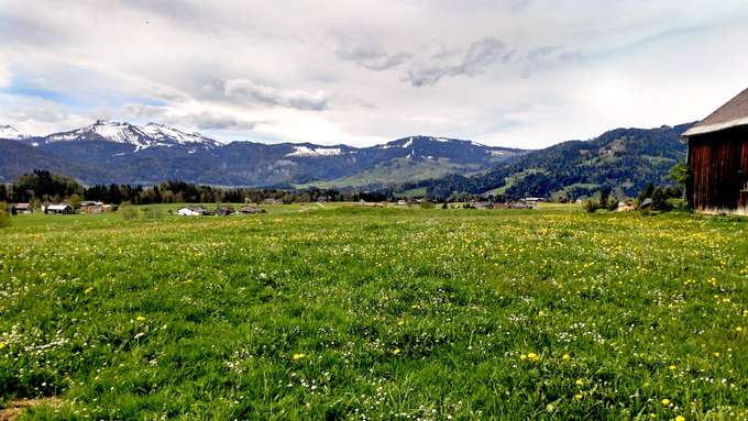 Alpenwiese Blick auf grüne Wiese, Alpen im Hintergrund