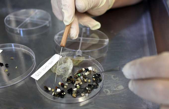 Was muss dringend noch erforscht werden?