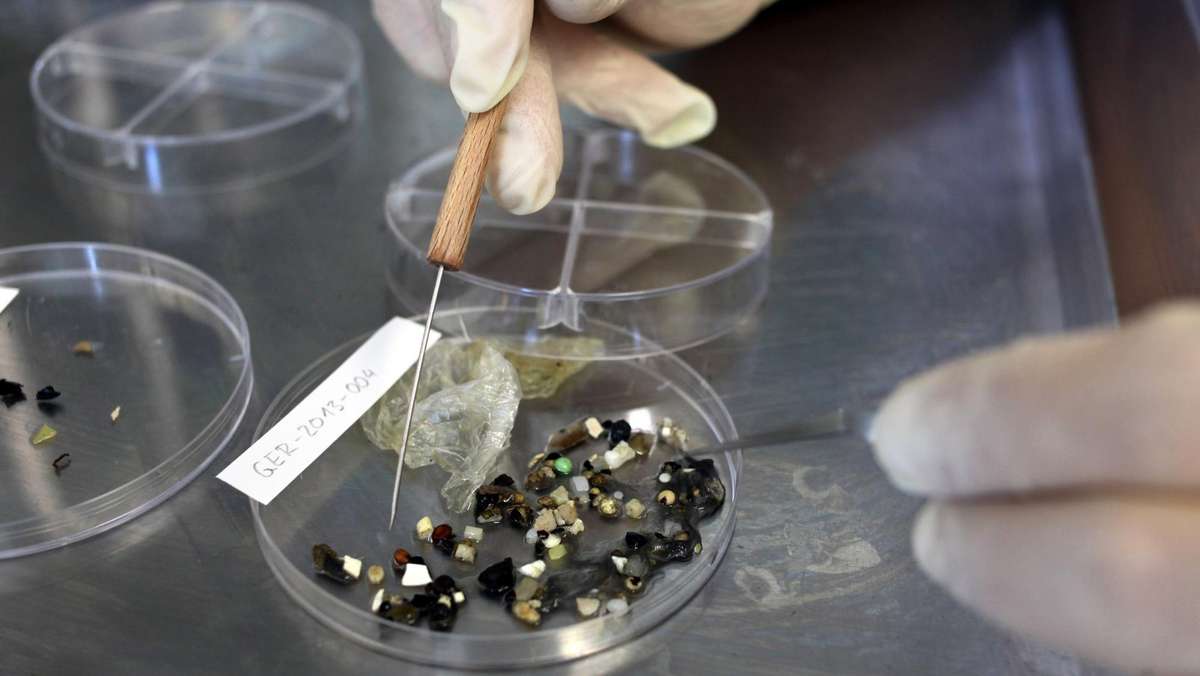 nach geographischer Region « Forschungsbedarf « Plastik in Gewässern