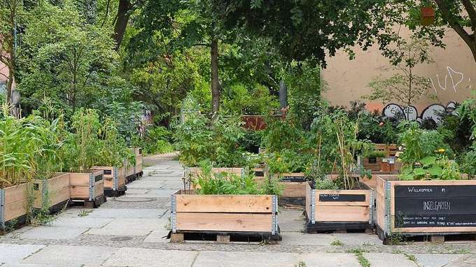 Biodiversität in der Stadt Urban gardening
