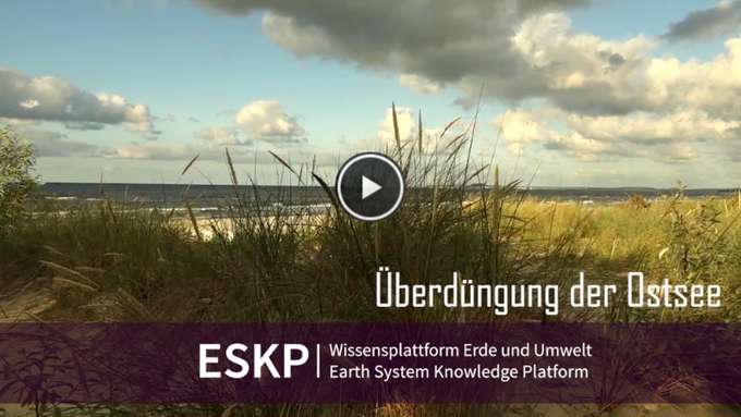 Biodiversität und Überdüngung Video-Startbild Überdüngung der Ostsee