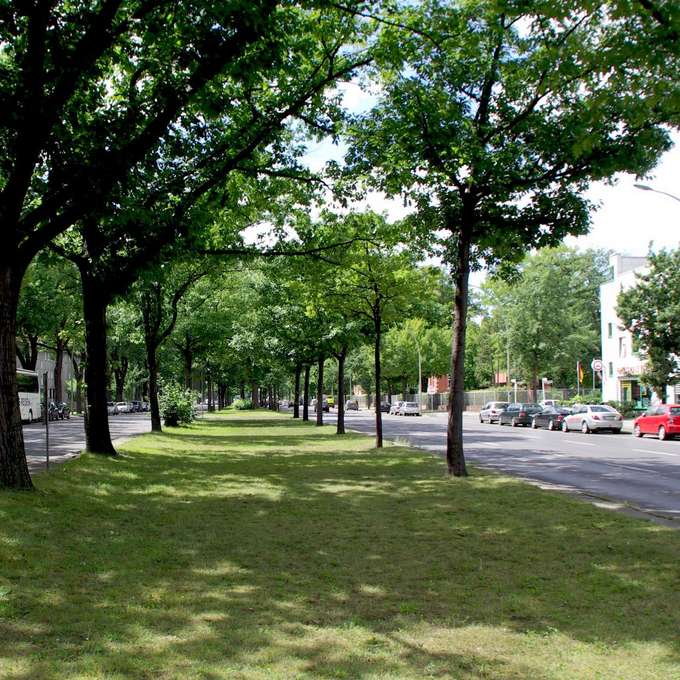 Mittelinsel große Straße begrünt