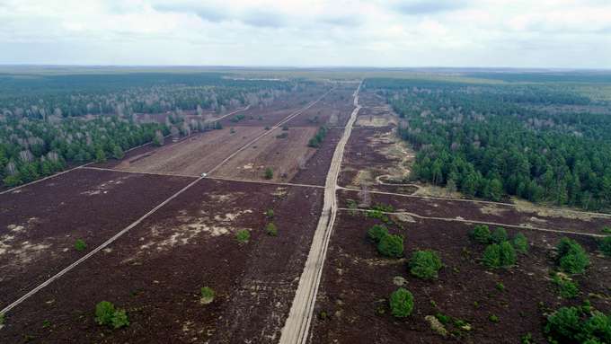 Blick in den ehemaligen Truppenübungsplatz in der Kyritz-Ruppiner Heide. Foto: GFZ Luftaufnahme auf Truppenübungsplatz