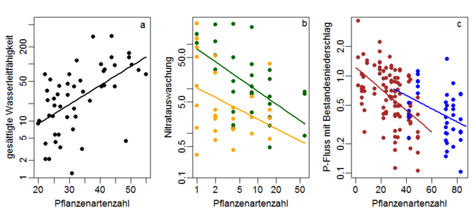 Zusammenhang zwischen Pflanzenartenzahl und (a) gesättigter Wasserleitfähigkeit,, (b) Nitratauswaschung, (c) Phosphor-Fluss. Grafik: KIT 3 Diagramme Pflanzenartenzahl