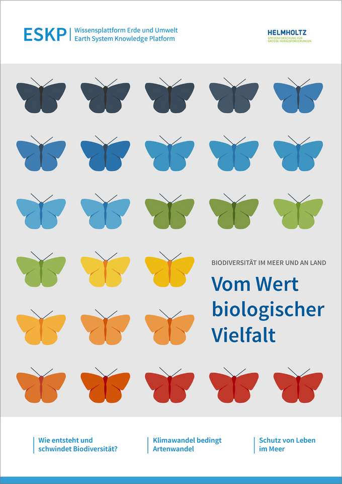 coverbild bunte Schmetterlinge