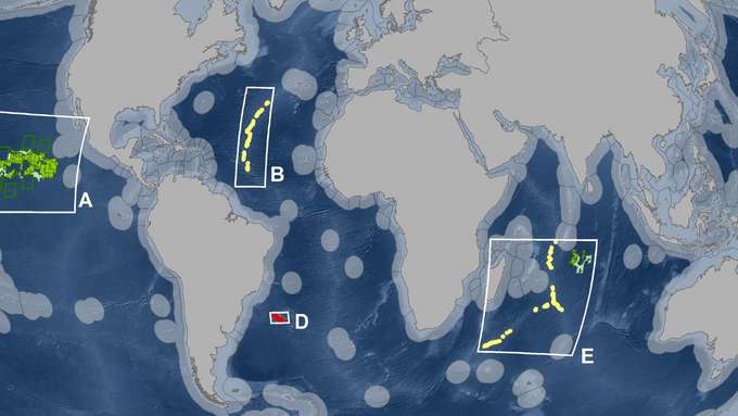 Grafik Weltkarte Ausschnitt Rohstoffe Lizenzgebiete