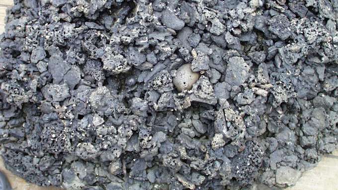 Phosphoritknollen und Gesteinsgerölle aus dem Auftriebsgebiet vor Peru. Foto: BGR Rohstoffe im Ozean Phosphoritplatte