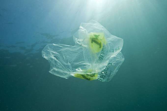 Biologisch abbaubar – aber auch im Meer? Foto Bio-Plastiktüte im Wasser