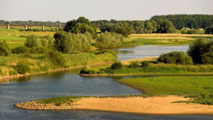 Biodiversität Auenlandschaften Blick auf Sandbank im Fluss
