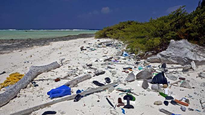 Giftige Zusatzstoffe in Küstengewässern