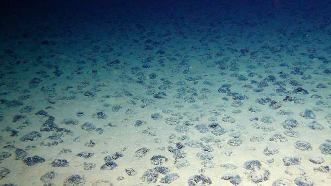 Rohstoffe in der Tiefsee - Unterwasseraufnahme Manganknollen des GEOMAR