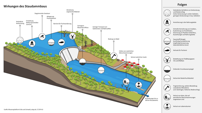 Grafik Aufsicht Staudamm