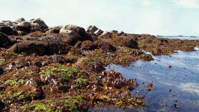 Felsenküste Blick auf die Küste