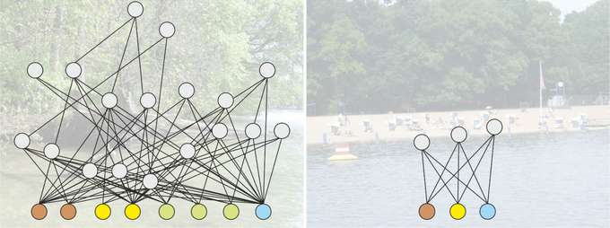 Am natürlichen Ufer (links) werden wesentlich mehr Nahrungsquellen (farbige Kreise) von einer sehr vielfältigen Konsumentengemeinschaft (grau) verwertet. An der Badestelle (rechts) sind die Diversität von Nahrungsquellen und Konsumenten verringert.