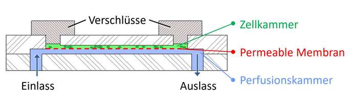 Schematische Zeichnung zur Funktion eines Mikrochips. schematische Zeichnung