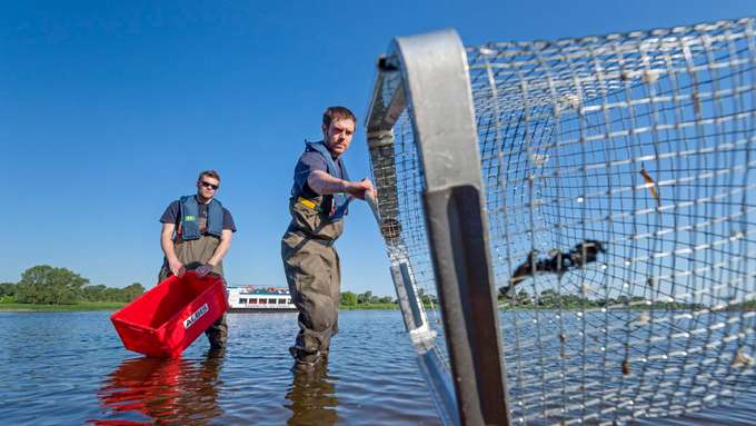 Wie beeinflusst der Mensch die Artenvielfalt in unseren Gewässern 2 Männer im See mit Netzen