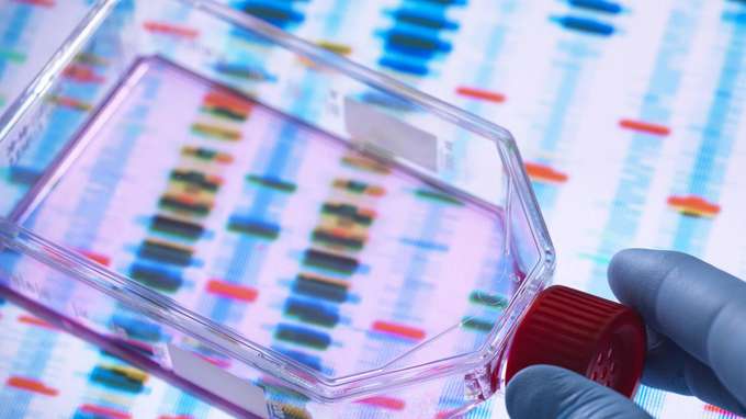 Nutzen von Biodiversität Laborbild gene editing