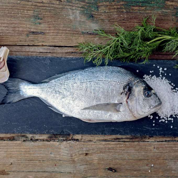 Man ist was man isst – Hinweise auf Mikroplastik in Speisefischen?