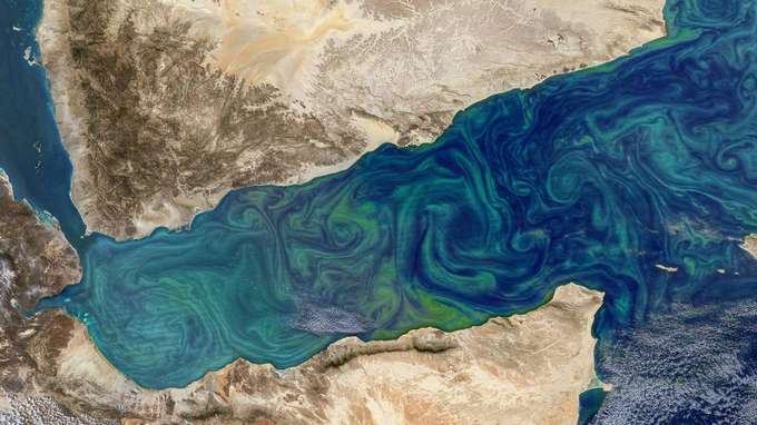 marine Biodiversität Satellitenaufnahme Land Meer