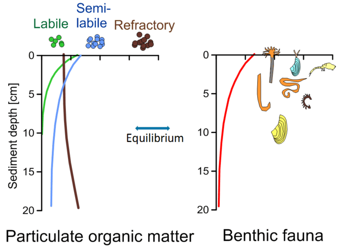 Grafik Diagramm