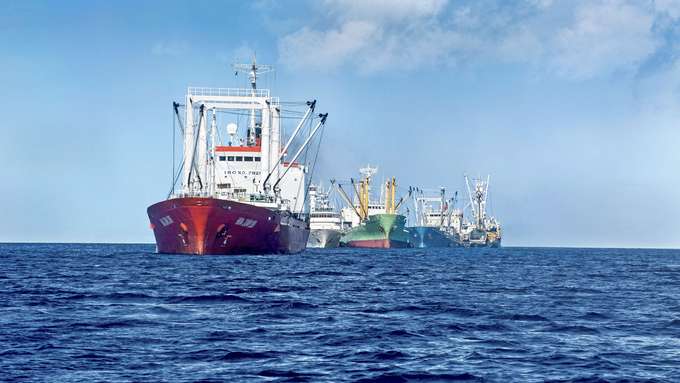marine Biodiversität Blick auf 4 Schiffe, Fischtrawler
