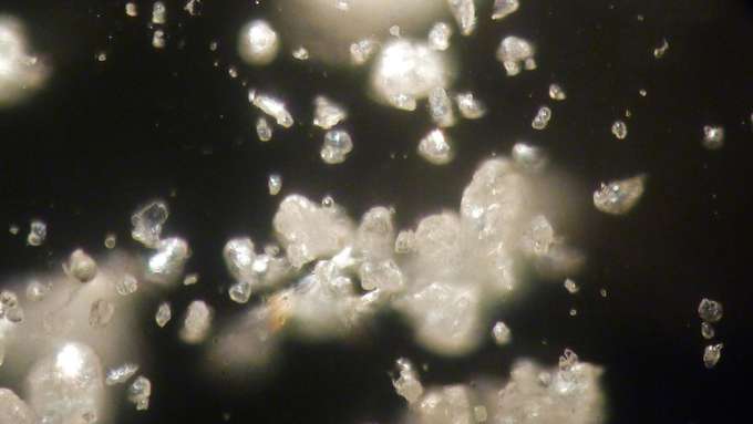 Schadstoffmagnet Mikroplastik Foto Plastikteilchen und Mikroplastik in der Kieler Förde