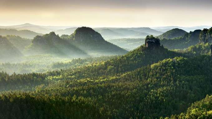Biodiversität und Politik Waldlandschaft Morgenstimmung