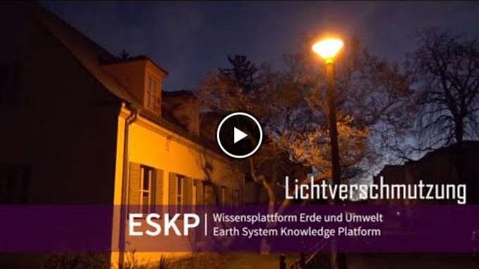Biodiversität und Lichtverschmutzung Video Startbild