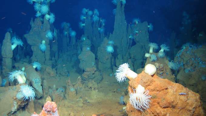 Rohstoffe in der Tiefsee - Unterwasseraufnahme Schwarze Raucher der Bundesanstalt für Geowissenschaften und Rohstoffe (BGR)