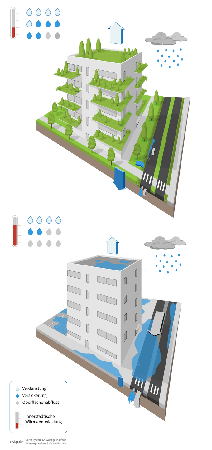Vergleich von der konventionellen Stadt und der Sponge City (Grafik: Wissenplattform Erde und Umwelt) Grafik Vergleich Flächenversiegelung