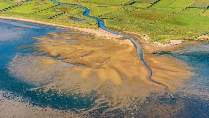 Biodiversität Küste Sandfächer vor Küste